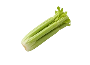 celer stablo celer stablo