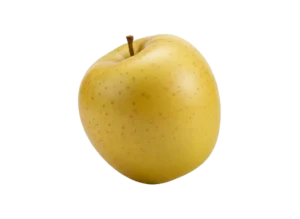 Jabuka zlatni Delišes