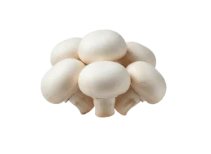 pecurka sampinjoni pecurka sampinjoni