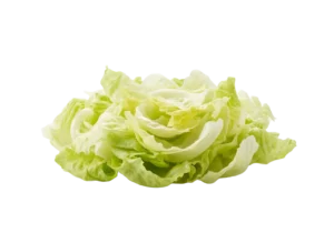 Salata puterica listovi