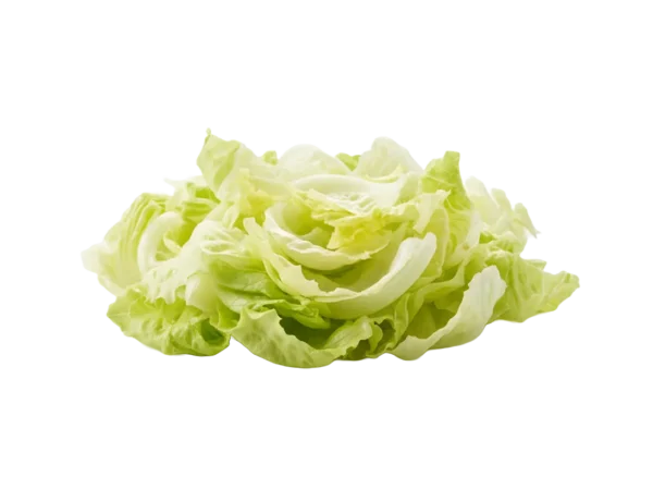 salata puterica listovi 500g-250g Salata puterica listovi