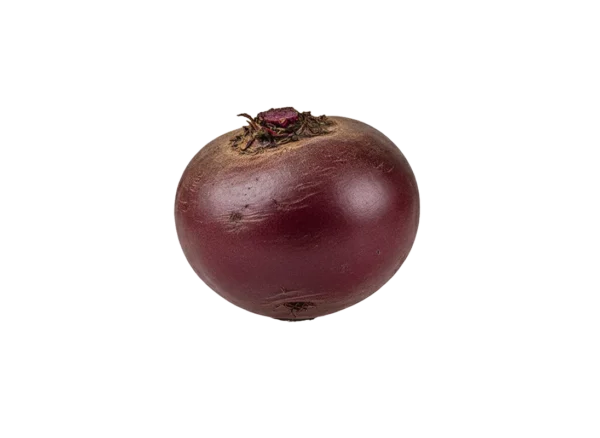 svekla