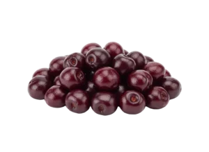 višanja bez koštice kom 2,5kg Višnja bez koštice zamrznuta