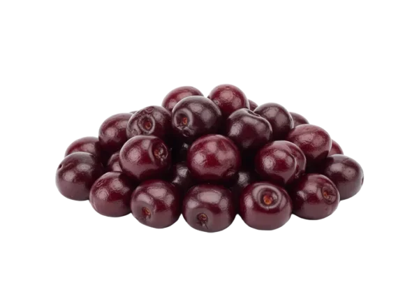 Višnja bez koštice zamrznuta